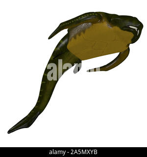 Bothriolepis was a placoderm carnivorous marine fish that lived during ...