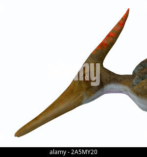 Pteranodon was a carnivorous Pterosaur bird of prey that lived in North America during the Cretaceous Period. Stock Photo