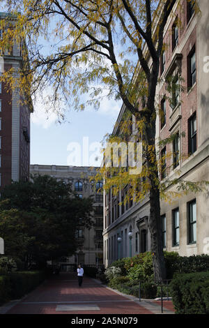 Columbia University campus in Morningside Heights, New York, USA. John Jay Hall on the left and Butler Library on the right. Stock Photo