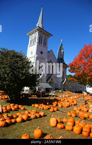 Pumpkin patch at a church in Bedford, New York Stock Photo