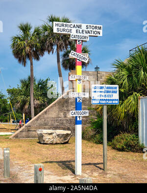 USA, Georgia, Tybee Island, Palmetto Palm and cyclone fence along sand ...