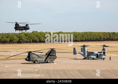 A Spanish CH-47 Chinook with Task Force Toro “Black Bulls” lands behind a U.S. Marine Corps MV-22 Osprey with Special Purpose Marine Air-Ground Task Force-Crisis Response-Africa 20.1, Marine Forces Europe and Africa, during Exercise Black Joint at Almagro Air Base, Spain, Oct. 16, 2019. The bilateral aviation training enhanced interoperability between the U.S. and Spanish military forces. SPMAGTF-CR-AF is deployed to conduct crisis-response and theater-security operations in Africa and promote regional stability by conducting military-to-military training exercises throughout Europe and Africa Stock Photo
