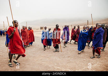 JUN 24, 2011 Serengeti, Tanzania - Group of African Masai or Maasai tribe  in red and blue cloth dancing on dusty ground in village. Ethnic group of N Stock Photo