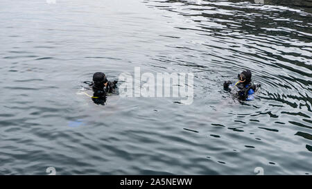 Two dive buddies in Anacapa Island, Channel Islands National Park, USA Stock Photo