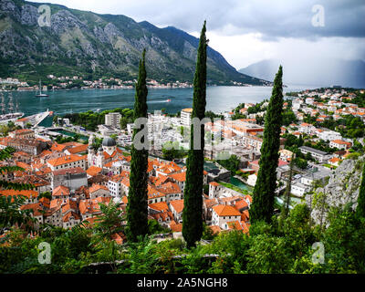 Magnificent view to Kotor bay and city. Big cypress trees. Vacation trips. Stock Photo