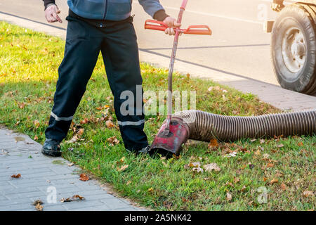 cleaning yellowed leaves in autumn vacuum cleaner Stock Photo