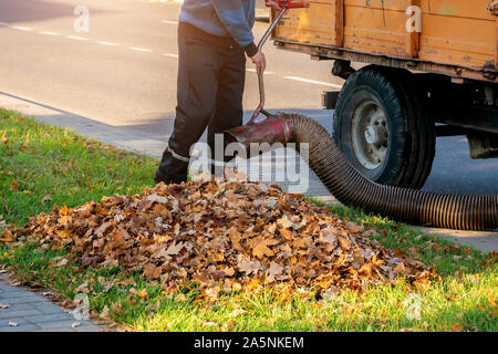 Worker clearing up the leaves using a leaf blower tool Stock Photo