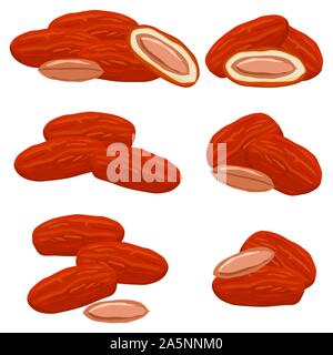 Illustration on theme big colored set different types of date fruit for healthy life. Date fruit pattern consisting of collection accessory at healthy Stock Vector