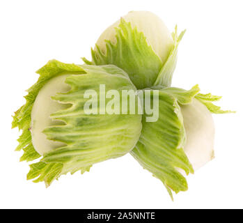 green hazelnuts isolated on a white background. Stock Photo