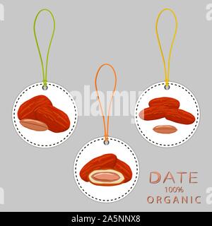 Illustration on theme big colored set different types of date fruit for healthy life. Date fruit pattern consisting of collection accessory at healthy Stock Vector