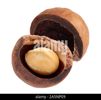Macadamia nut in a broken shell on white background Stock Photo - Alamy