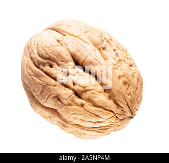 walnut in shell isolated on a white background. Stock Photo