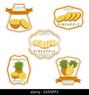 Illustration on theme big set different types yellow tropical pineapple, green stem various size. Pineapple pattern consisting of collection tropical Stock Vector