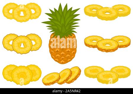 Illustration on theme big set different types yellow tropical pineapple, green stem various size. Pineapple pattern consisting of collection tropical Stock Vector