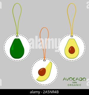 Illustration on theme big set different types round avocado, harvest various size. Avocado pattern consisting of collection meal for organic health sa Stock Vector