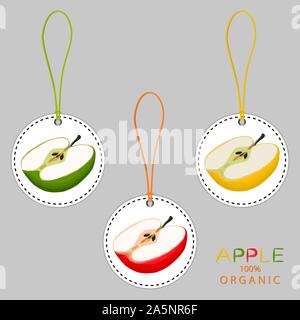 Illustration on theme big set different types round apples, harvest various size. Apple pattern consisting of collection meal for organic health bever Stock Vector