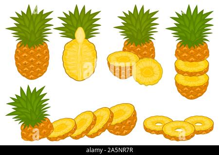 Illustration on theme big set different types yellow tropical pineapple, green stem various size. Pineapple pattern consisting of collection tropical Stock Vector