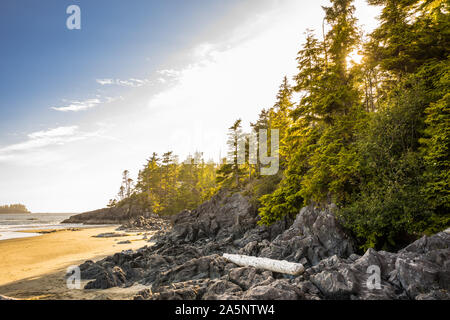 View of pacific coastline near Tofino, Vancouver Island, British Columbia, Canada Stock Photo