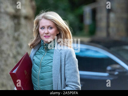 London, UK. 22nd Oct, 2019. Esther McVey MP Housing Minister arrives at a Cabinet meeting at 10 Downing Street, London Credit: Ian Davidson/Alamy Live News Stock Photo