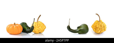 Decorative pumpkins and colocynths isolated on panoramic white background, autumn web banner Stock Photo