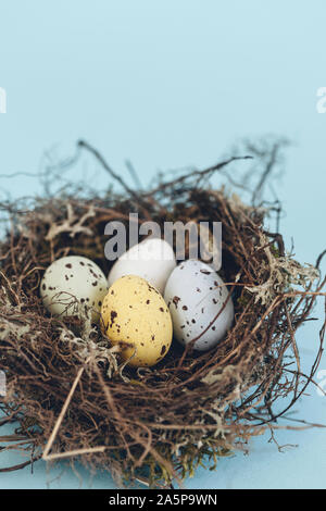 Spotted eggs in birds nest Stock Photo