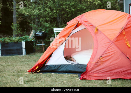 Boy sleeping in tent in backyard Stock Photo