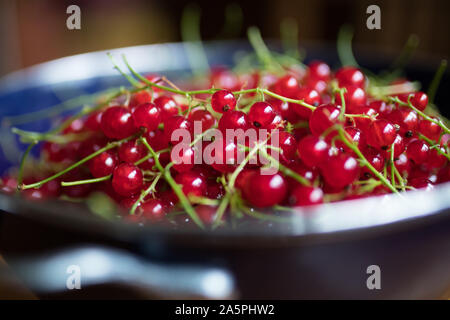red currants in a blue colander on a wooden table. Ripe red currant berries. Close up view Stock Photo