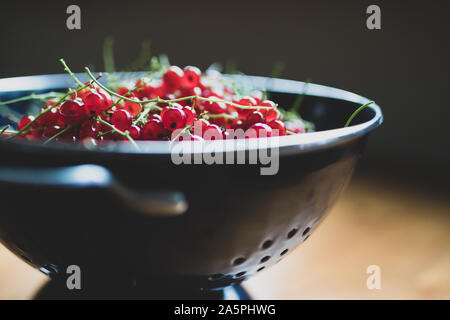 red currants in a blue colander on a wooden table. Ripe red currant berries. Close up view Stock Photo