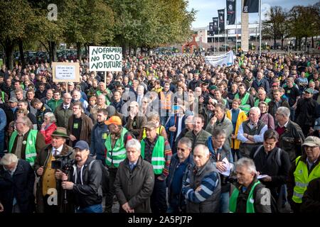 Hanover, Germany. 22nd Oct, 2019. Participants of the demonstration stand at the Maschsee in the city centre. The rally is part of a nationwide campaign by the farmers' initiative 'Land schafft Verbindung', which has been joined by tens of thousands of farmers in a very short space of time. They are protesting against the federal government's agricultural policy. Credit: Sina Schuldt/dpa/Alamy Live News Stock Photo