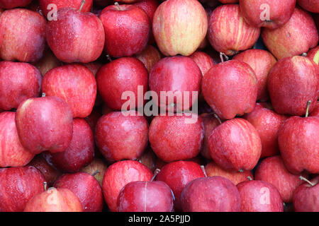 Red apple texture, lots of green apples Stock Photo