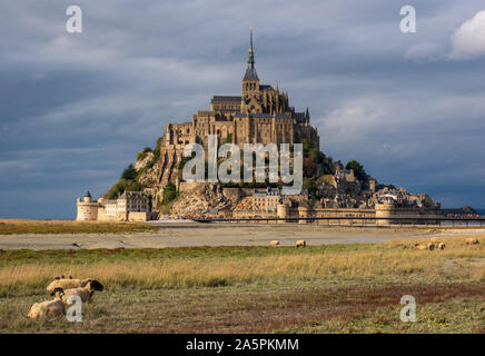 Sheep grazing in front of Mont-Saint-Michel, France Stock Photo