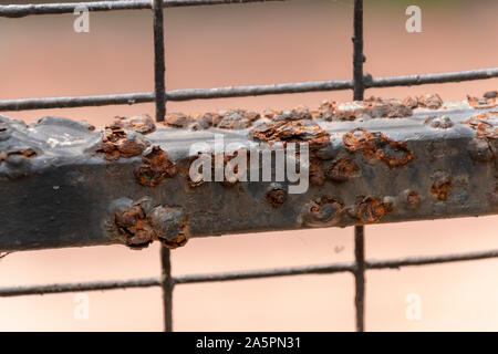 A close up view of a rusted handel on a wire gate Stock Photo