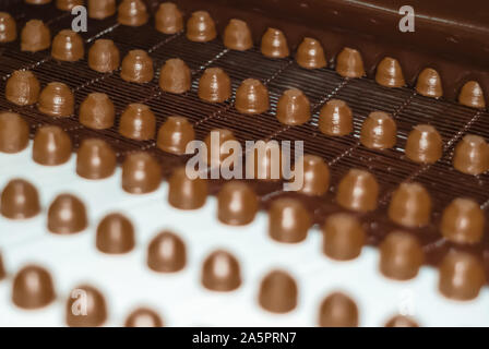chocolate fillings move on a conveyor to a machine for pouring them with liquid chocolate Stock Photo