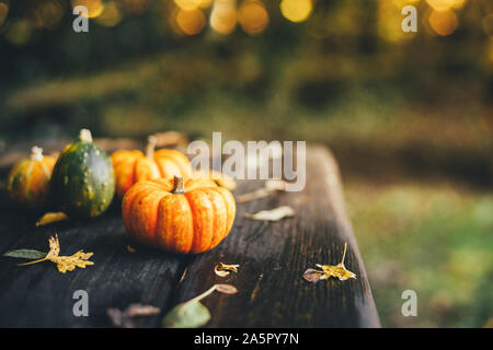 Thanksgiving background with small decorative pumpkins and fallen leaves on a rustic wooden table outdoors. Selective focus Stock Photo