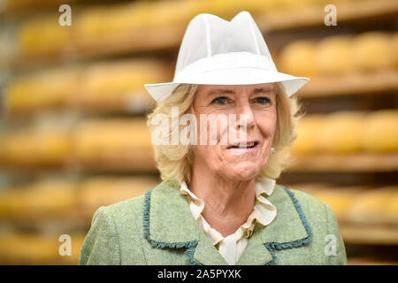 The Duchess of Cornwall wears a white food production hat during a visit to The Bath Soft Cheese Company, Kelston, Bath. Stock Photo