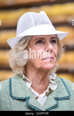 The Duchess of Cornwall wears a white food production hat during a visit to The Bath Soft Cheese Company, Kelston, Bath. Stock Photo