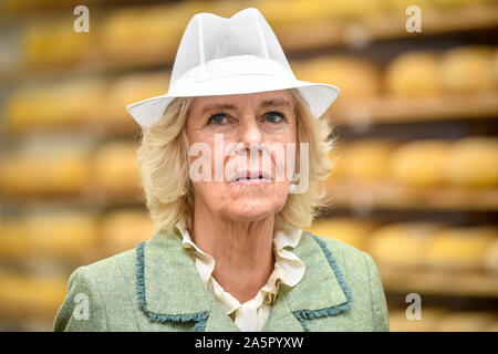 The Duchess of Cornwall wears a white food production hat during a visit to The Bath Soft Cheese Company, Kelston, Bath. Stock Photo