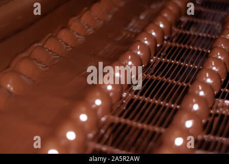 chocolates just poured with liquid chocolate on a conveyor belt of a confectionery factory close-up Stock Photo