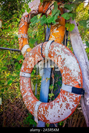 Worn life preserver rings hang from a fence at The Tin Shed, Oct. 6, 2019, in Apalachicola, Florida. Stock Photo