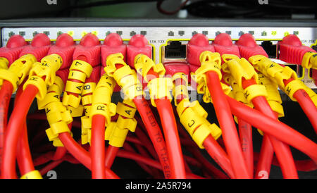 Ethernet RJ45 cables are connected to internet switch on business server network Stock Photo