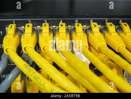 Ethernet RJ45 cables are connected to internet switch on business server network Stock Photo