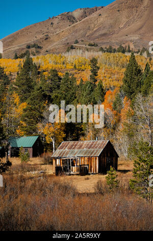 Fall Colors In The Sierra Nevada Mountains Stock Photo 9638101