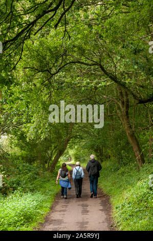 Three ramblers walking along the Cuckoo Trail disused railway path between Horam and Heathfield, East Sussex, England. Stock Photo