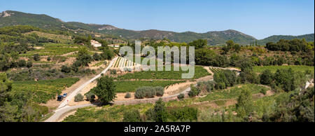 The vines and vineyards in the Dentelles de Montmirail, Provence in France. Stock Photo