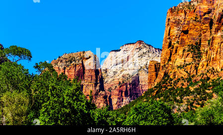 Zion Canyon with Mt. Majestic and the Great White Throne viewed from the Sand Beach Trail near the Court of the Patriarchs, in Zion National Park, UT Stock Photo