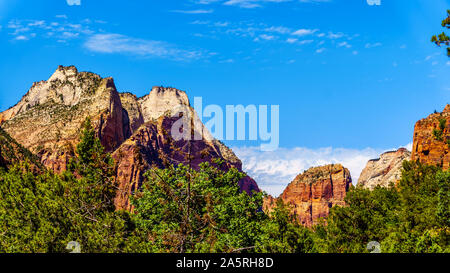 Zion Canyon with Mt. Majestic and the Great White Throne viewed from the Sand Beach Trail near the Court of the Patriarchs, in Zion National Park, UT Stock Photo