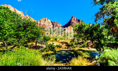 The Red, Pink and Cream Sandstone Cliffs of the Watchman and Bridge Mountain viewed from the Pa'rus Trail along he Virgin river in Zion National Park Stock Photo