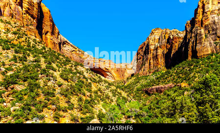 The Great Arch with East Temple mountain, Canyon Overlook and Bridge Mountain viewed from the Zion-Mount Carmel Highway in Zion National Park, Utah, U Stock Photo