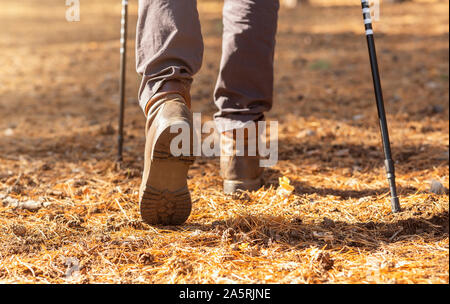 Cropped image of man crossing forest with trekking poles Stock Photo
