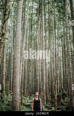 A female hiker looks up at the trees in a forest in Washington Stock Photo